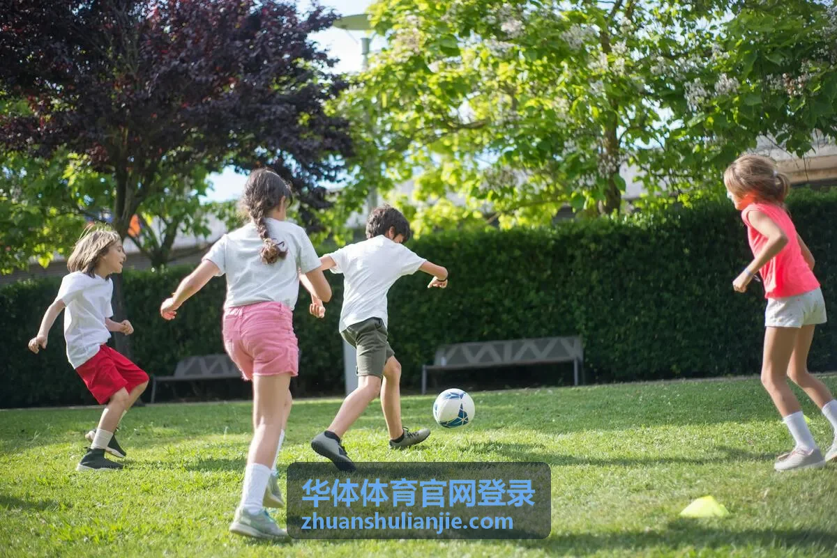 华体体育官网登录账号入口说明配图